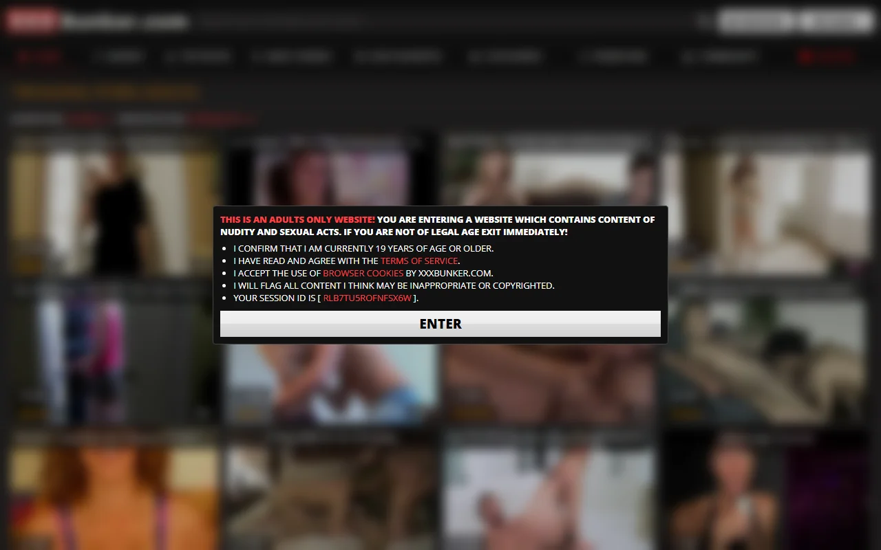 Screenshot of Xxxbunker